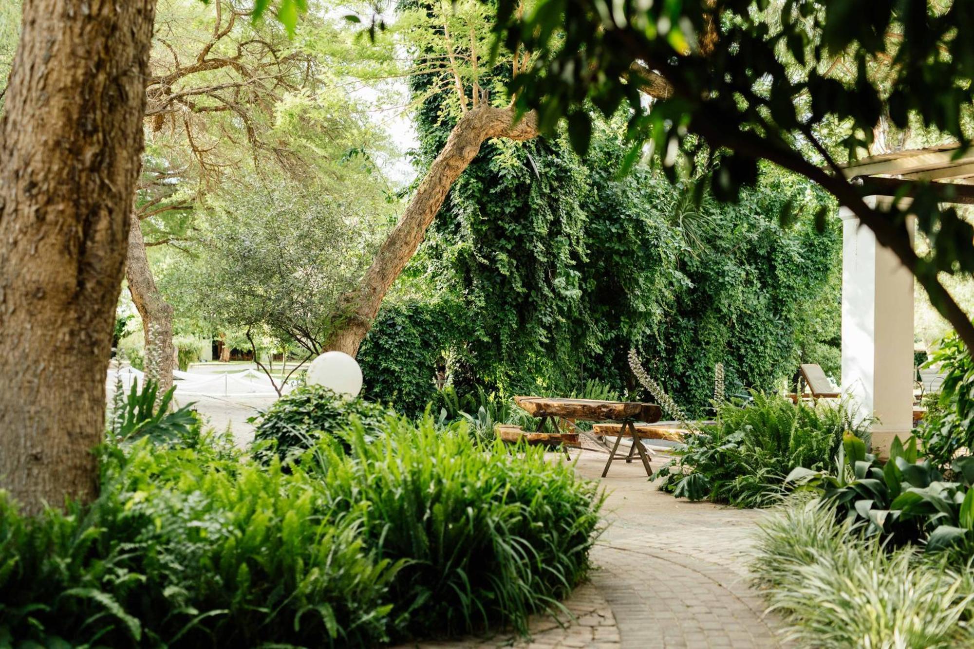 Upington African Vineyard Boutique Hotel & Spa Keimoes Buitenkant foto