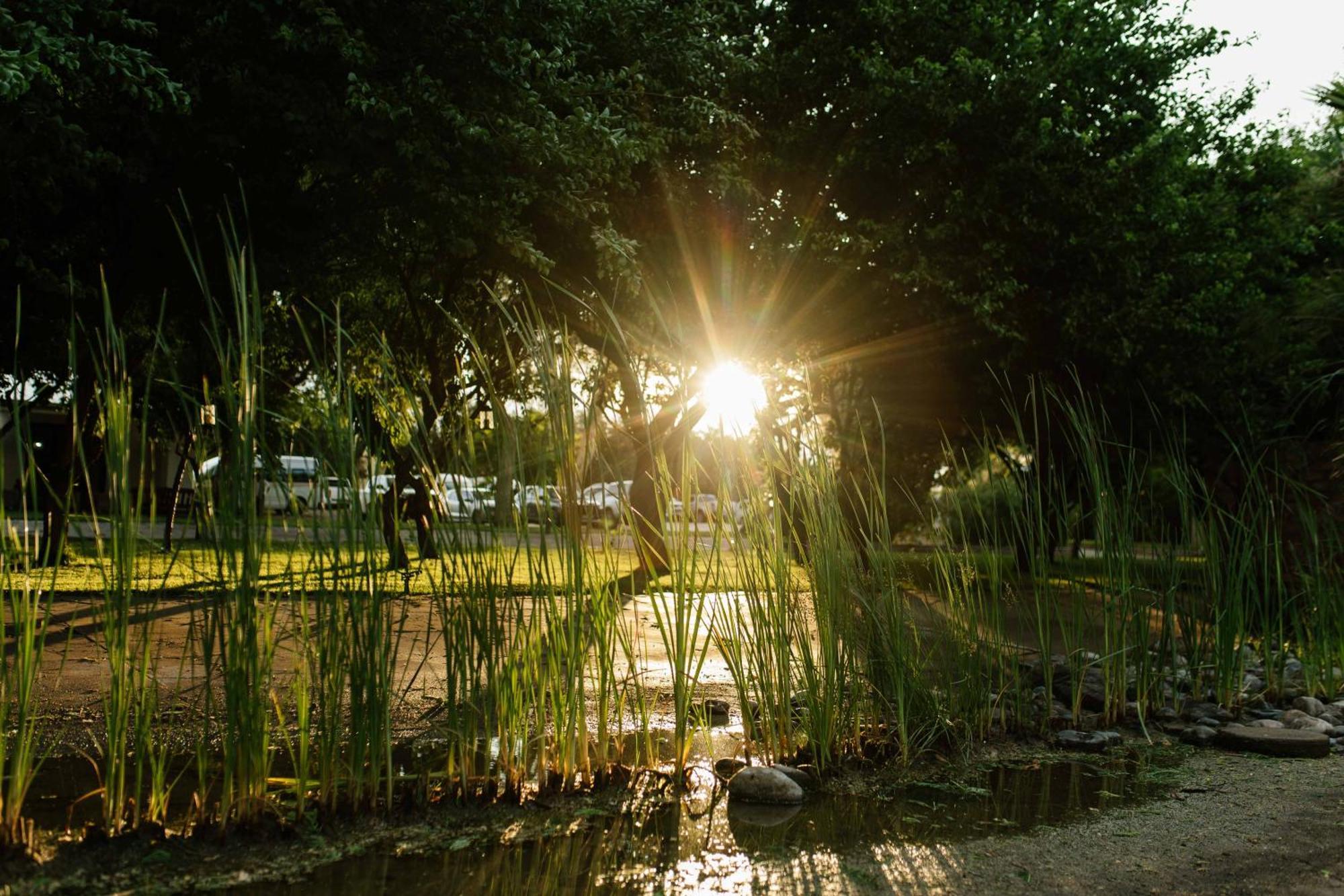 Upington African Vineyard Boutique Hotel & Spa Keimoes Buitenkant foto