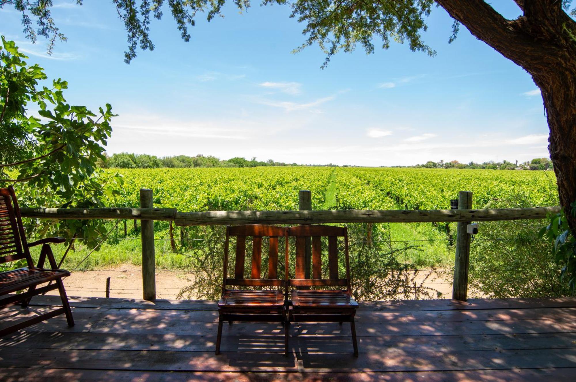 Upington African Vineyard Boutique Hotel & Spa Keimoes Buitenkant foto